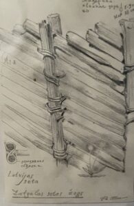 Устройство забора из наклонных жердей. Latvias seta. Latgales setas zogs. Полевые материалы.
1962; бумага, карандаш. 18,5х12,5
