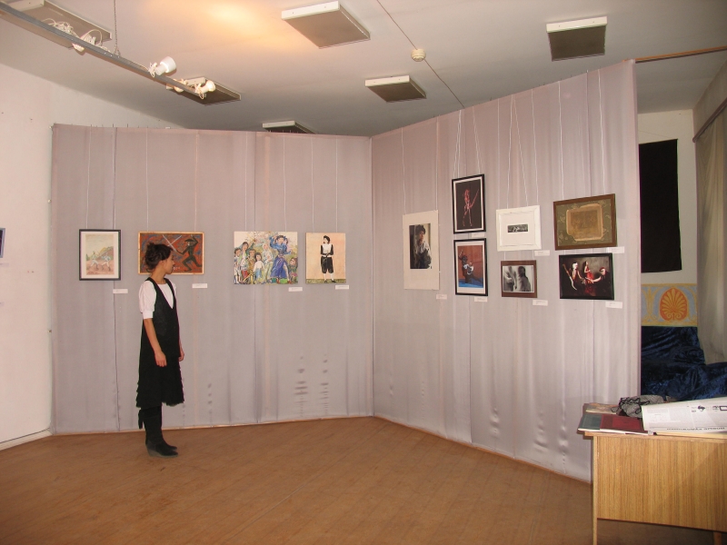 Общий вид выставки в Музее Академии Изящных Искусств